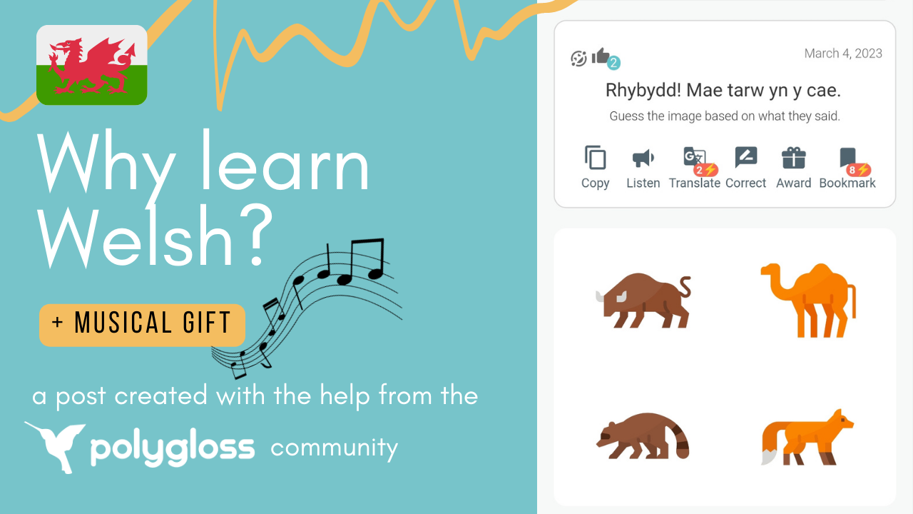 https://polygloss.app/posts/why-learn-welsh-plus-music-playlist/