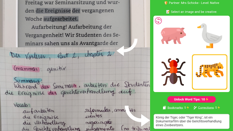 Summary of process: highlighting sentence from a book, writing a summary of paragraph, creating new sentence in Polygloss